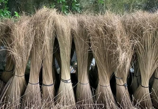 Sebelumnya Sampah, Kini Lidi Sawit jadi Cuan