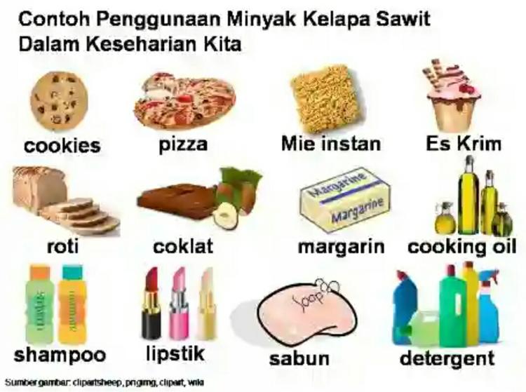 Untuk Kesejahteraan Rakyat, Presiden Prabowo Minta Ilmuwan Fokus Hilirisasi Sawit