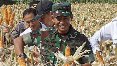 Jabat Dirut Bulog, Mayjen Novi Diproses Mundur dari TNI