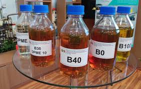 Pemerintah Bakal Bangun Pabrik Biodiesel di Merauke