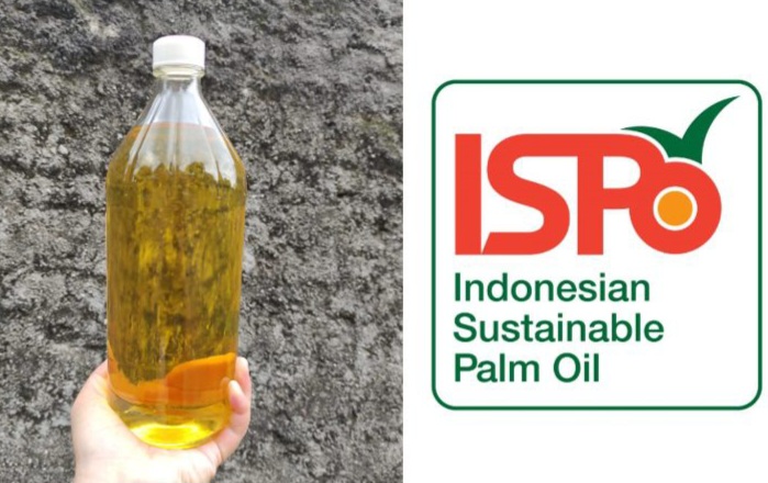 19 Maret 2027, Semua Perusahaan Industri Hilir dan Bioenergi Wajib Bersertifikat ISPO