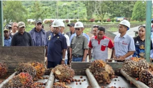 Bupati Jayapura Minta Perusahaan Sawit Lebih Peduli Pendidikan dan Kesehatan Warga