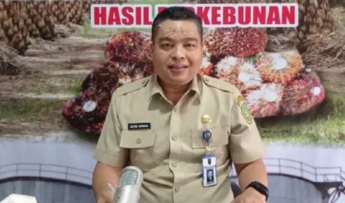 Turun, Pekan Ini Harga TBS Kelapa Sawit Mitra Plasma Dihargai Rp3.686 per Kilogram