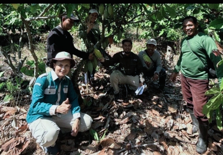 Tingkatkan Perekonomian, Kementan Kembangkan Perkebunan Kakao di Wilayah Timur Indonesia