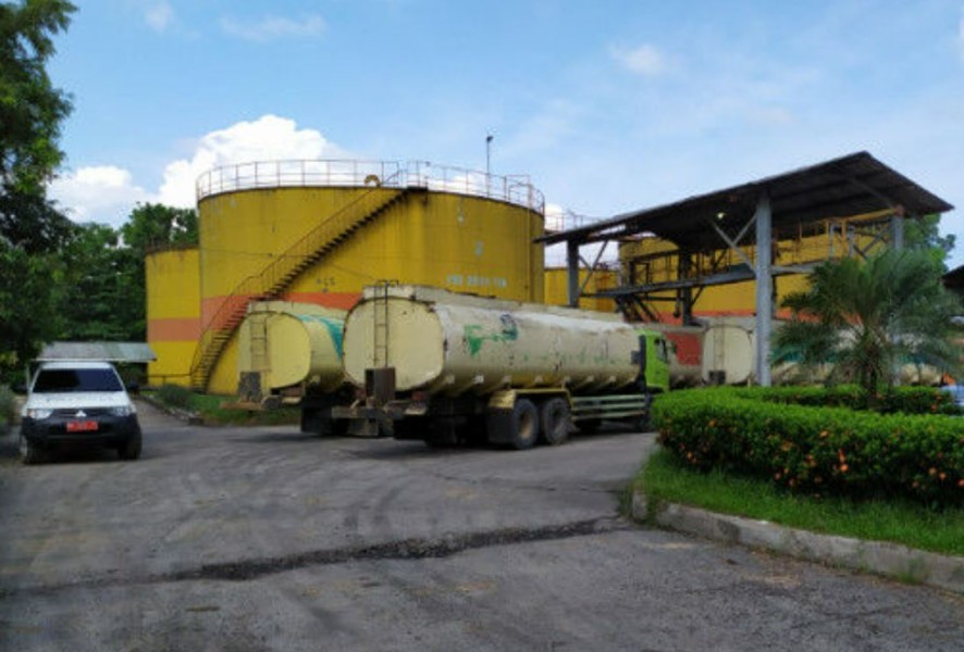 Industri Sawit Riau Pekan Ini Alami Tren Positif