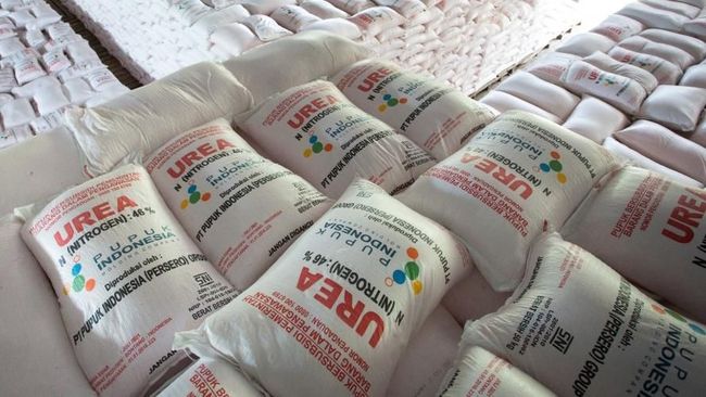 Aman! Pemerintah Jamin Ketersediaan dan Distribusi Pupuk Sampai di Tingkat Petani