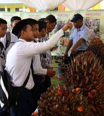 Tak Lulus PPDB Online SMK Negeri, Calon Siswa Berebut Masuk Jalur Afirmasi Bosda di Pelalawan