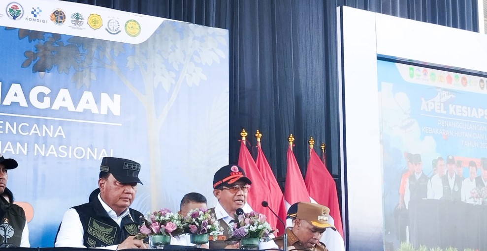 Riau Status Darurat Karhutla, Lima Provinsi Lainnya Siaga