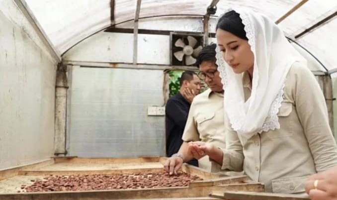 Wamendag Dorong Produk Hilirisasi Kakao Agar Makin Bernilai Tambah