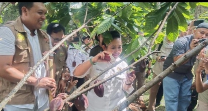 Perjuangkan Petani, Komisi IV DPR RI Akan Buat Undang-undang Khusus Soal Produksi serta Pascapanen Perkebunan Kakao