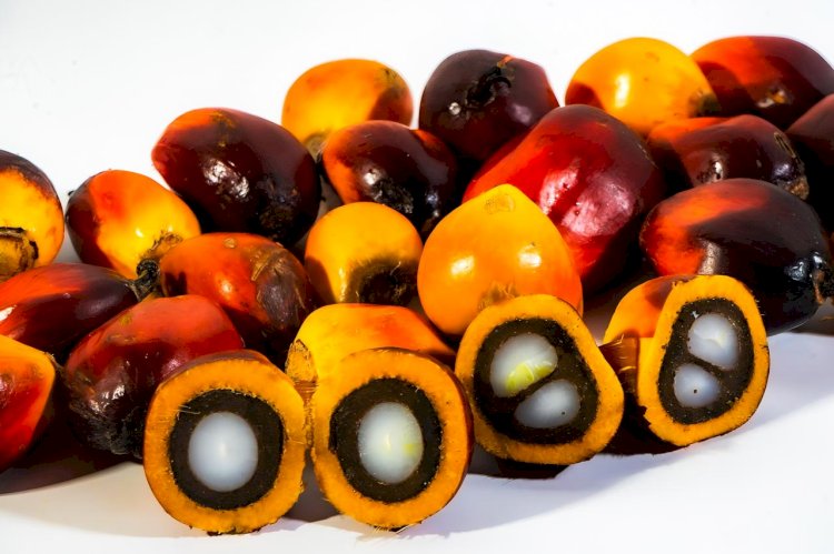Miliki Kandungan Karotenoid yang Tinggi, Minyak Inti Sawit Merah Bisa Dijadikan Suplemen Makanan