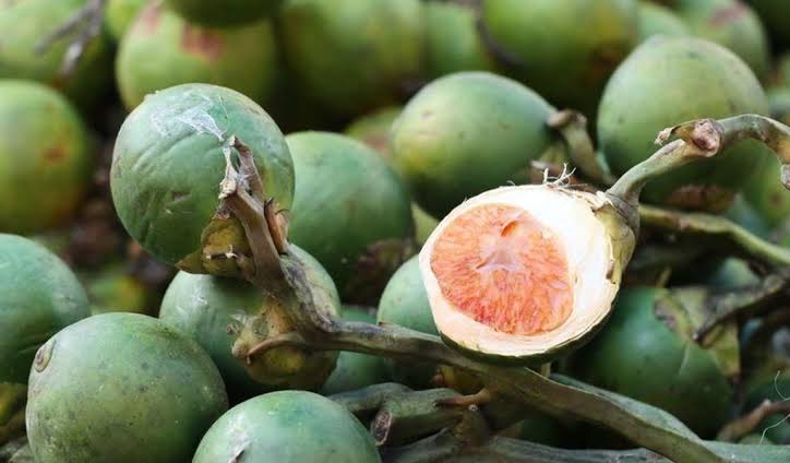 Petani Rohul Keluhkan Harga Pinang Masih Rendah