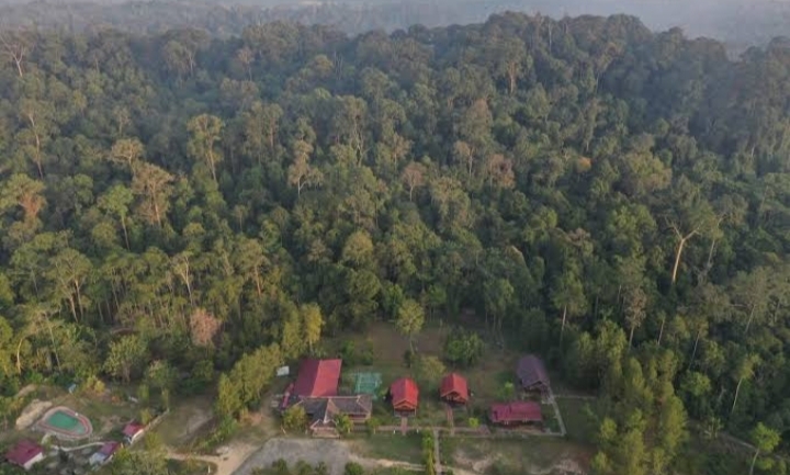 10 Provinsi di Wilayah Timur Indonesia Penopang Penting Jaga Harmoni Bumi, Apa Saja