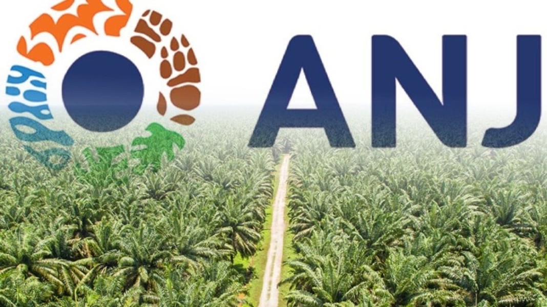 Dicaplok Bos Sawit Ciliandra Fangiono, 13 Direksi ANJT Mundur Berjamaah! Saham Langsung Jeblok