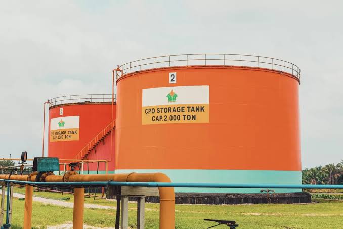 Kernel Anjlok Rp,2.716, Sebabkan TBS Sawit Riau Turun Meski CPO Menguat