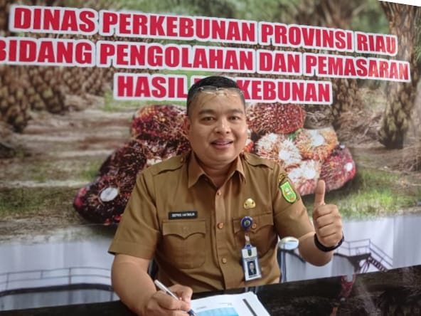 Indeks K Sawit Riau Turun Tipis Bulan Ini