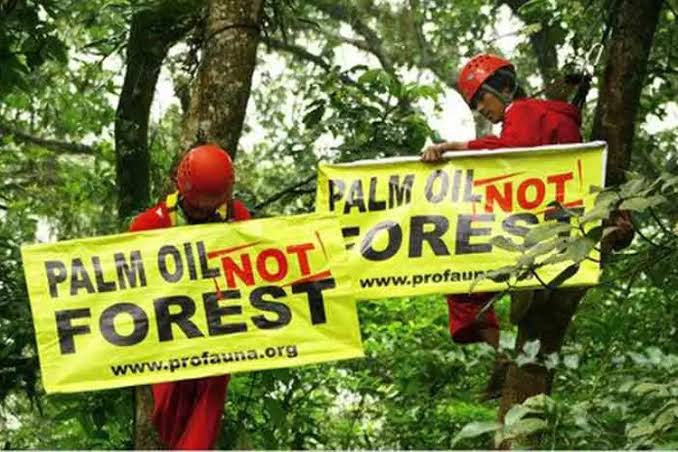 Industri Sawit Indonesia Buktikan Komitmen Berkelanjutan