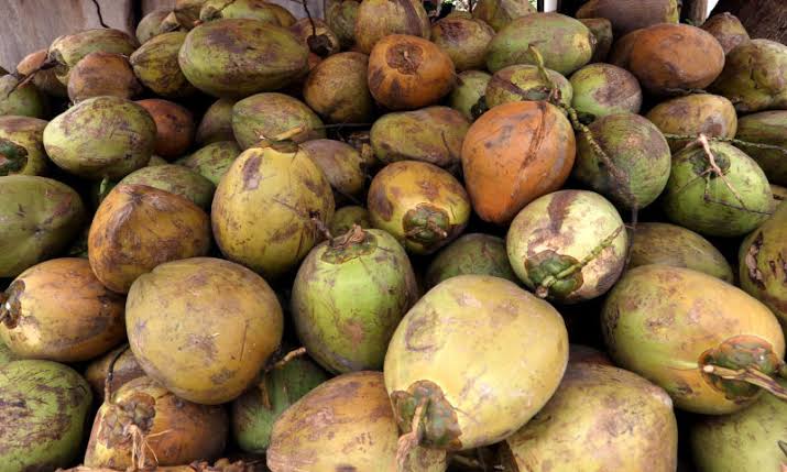 Diam-diam, China ''Main Kelapa'' di Indonesia, Investasikan Dana Rp 1,67 Triliun