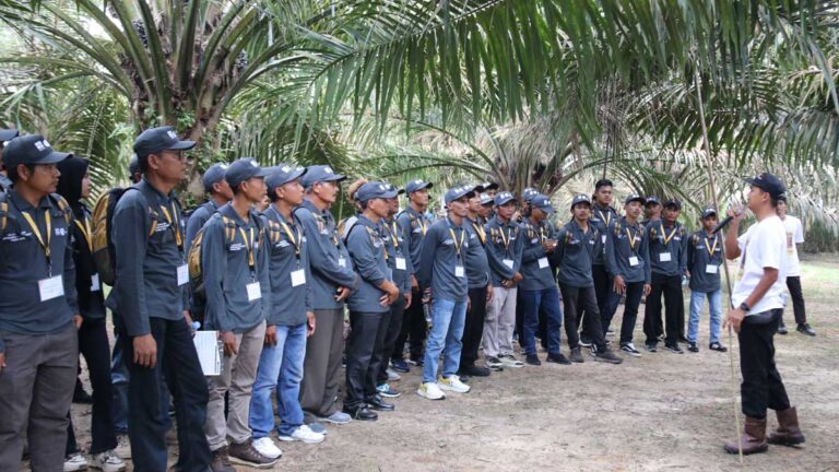 Ratusan Petani OKI Dibekali Ilmu Panen Sawit Ramah Lingkungan oleh BPDP, Ditjenbun, dan IPB Training
