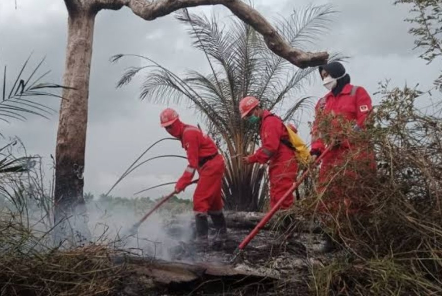 4 Perusahaan Besar Disegel di Riau, Ini Penyebabnya...