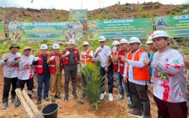 81 Hektar Lahan Sawit Milik Petani Merangin Diremajakan, Masa Depan Makin Cerah
