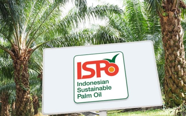 Kementan Wacana Beri Insentif 4 Persen dari Harga TBS pada Petani Sawit yang Miliki Sertifikat ISPO
