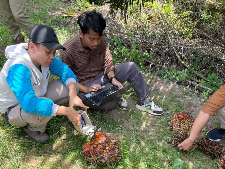 Dosen ITS Berhasil Ciptakan Alat untuk Mendeteksi Penyakit BSR pada Sawit