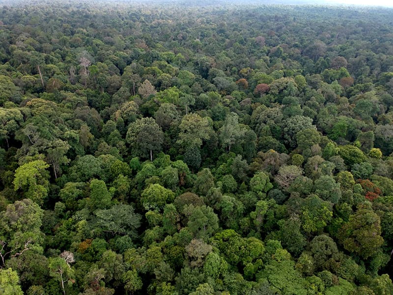 DPRD Riau Minta Relokasi Warga TNTN Jangan Bebani APBD Provinsi