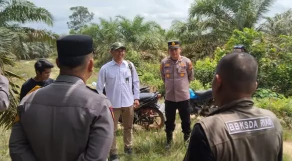 Tim BBKSDA Riau tak Temukan Tanda Keberadaan Harimau