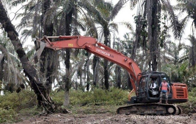 2025, Pasaman Barat Ajukan Peremajaan Sawit Rakyat Seluas 302 Hektare