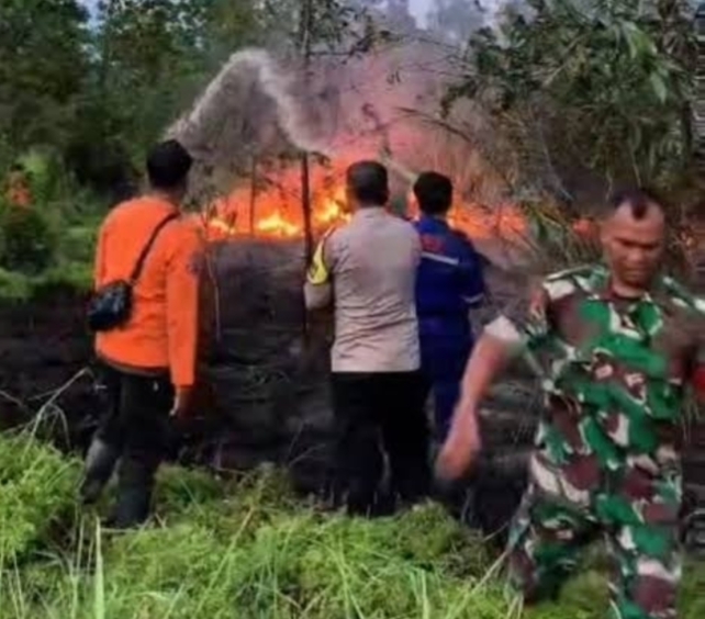 Semua Kabupaten/Kota di Riau Sudah Tetapkan Status Siaga Darurat Karhutla