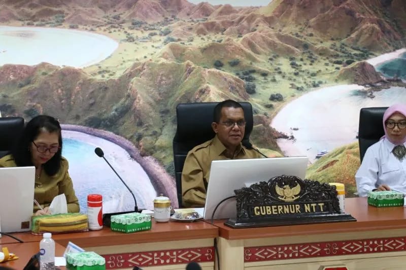 Menuju NTT Provinsi Sejahtera, Pengembangan Geothermal di Flores Ditinjau Kembali