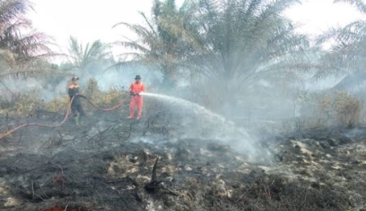 Musim Kemarau, BPBD Sumsel Imbau Perusahaan Perkebunan Antisipasi Karhutla