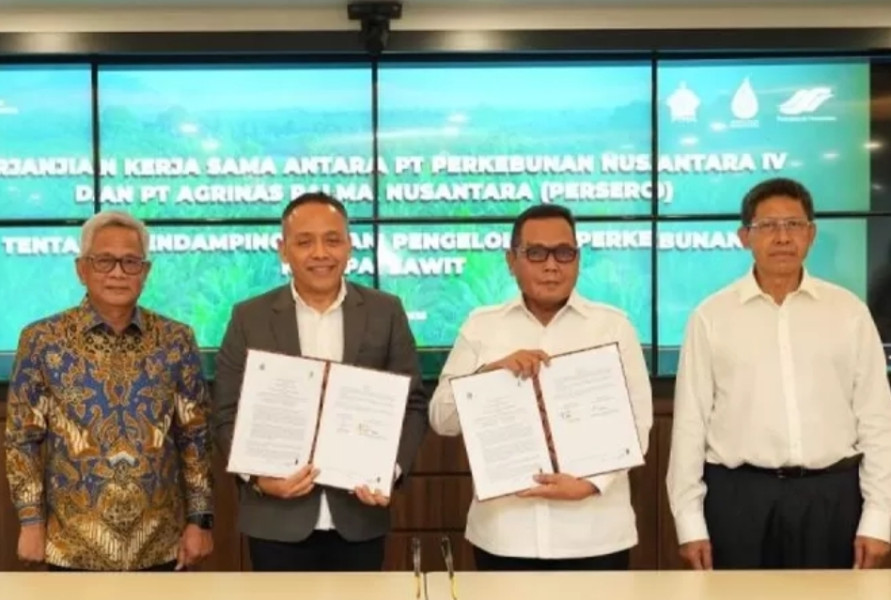Jalin Kemitraan dengan PTPN IV, Agrinas Sudah Kelola Kebun Sawit Skala Besar