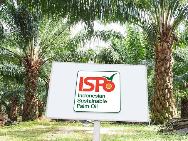 Petani Sawit yang Telah Miliki Sertifikasi ISPO Didorong Otomatis Terima Bantuan Pemerintah