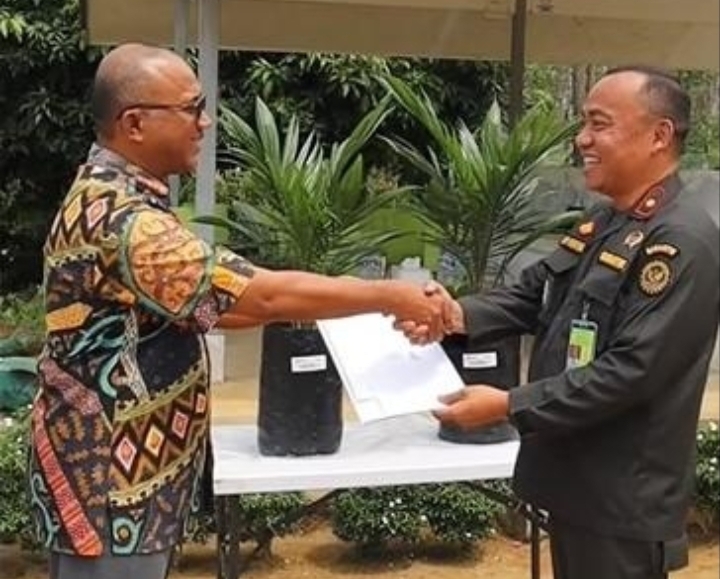 Bibit Sawit Impor Papua Nugini Dipastikan Sehat dan Bebas OPTK