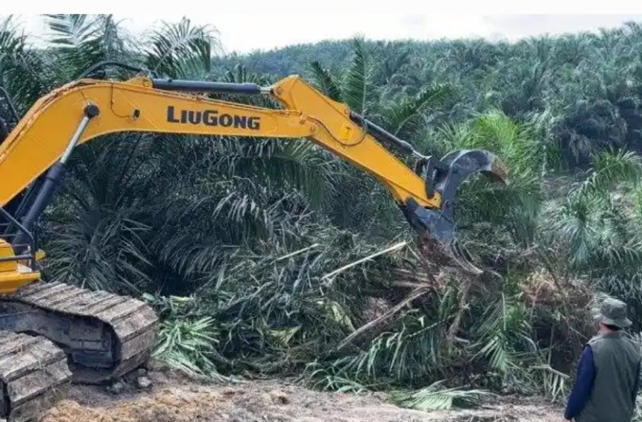 Tegaskan Patuh Kepada  Negara, Pemilik Kebun di Kawasan TNTN Datangi Kantor Satgas PKH