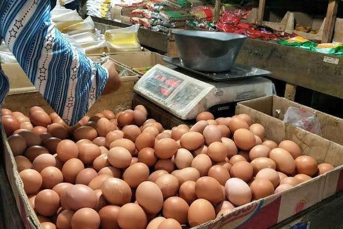 Harga Telur Ayam Mulai Stabil di Pekanbaru